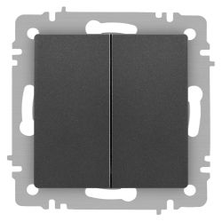 Переключатель Intro Accent 6-107-07 двойной, 10А-250В, IP20, СУ, AL/CU, графит
