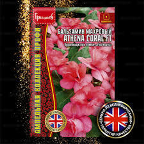 Бальзамин махровый Athena Coral F1