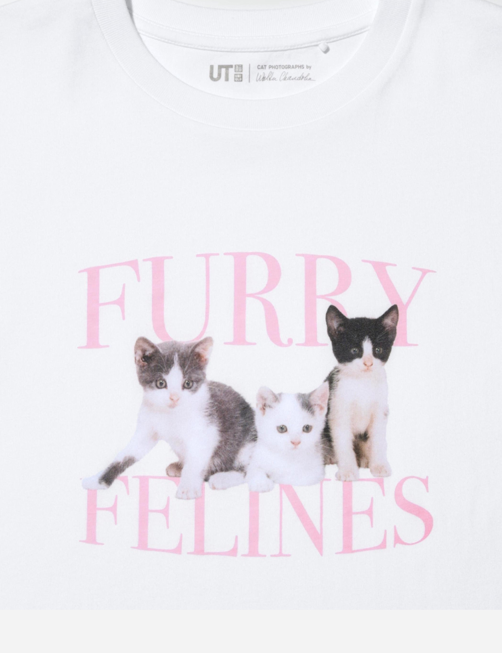Uniqlo Furry Felines T-Shirt