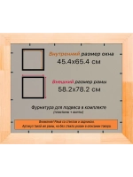 Рамка для постера и фотографий 45x65