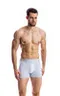 Мужские трусы BB116 Серый