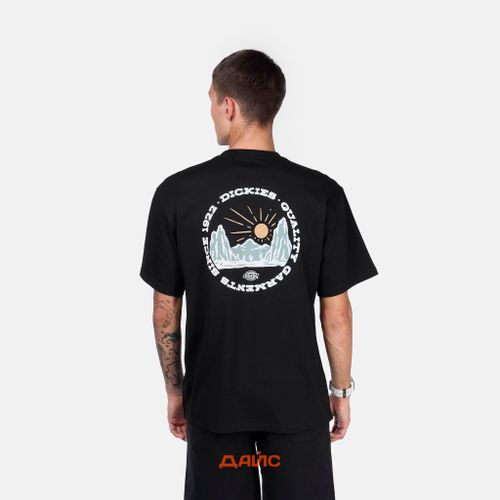 Футболка мужская Dickies Outdoor артикул:DK0A4Z8PBLK1 - купить в магазине Дайс