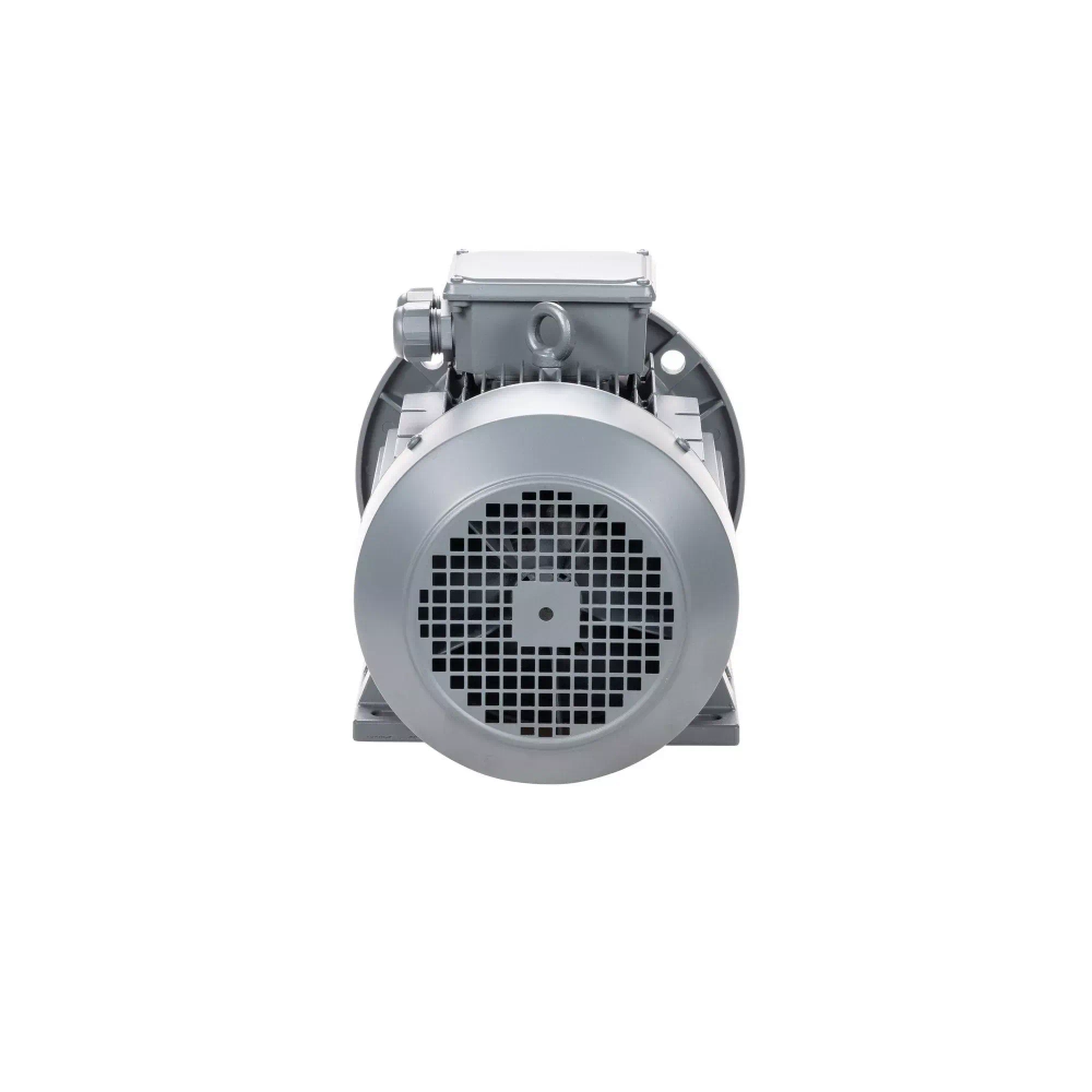 Электродвигатель ESQ TR 112 MA2-SDN-IE2 4/3000 IMB35