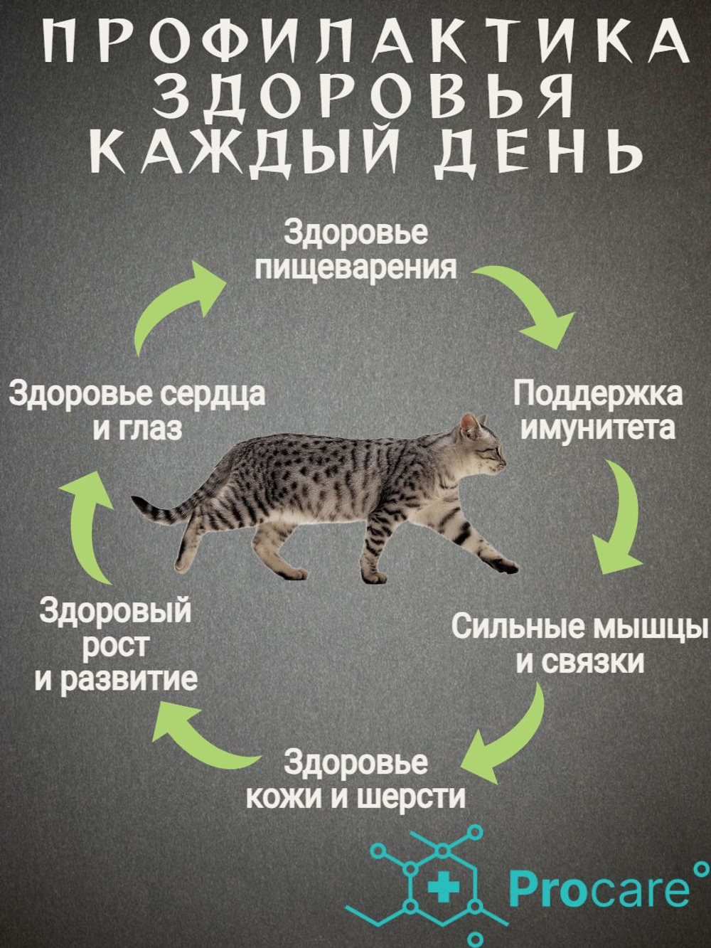 Корм для кошек сухой Premier для взрослых кошек Ягненок с индейкой 2кг