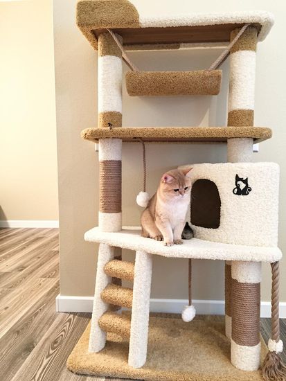 Дом для кота И-8