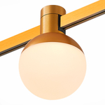 ST815.206.05 Магнитный трековый светильник FARM Золотистый LED 1*5W 3000K 89Lm Ra90 120 IP20 D75xH109 24V
