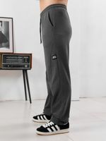 Брюки мужские Акс Виотекс ГРАФИТОВЫЙ