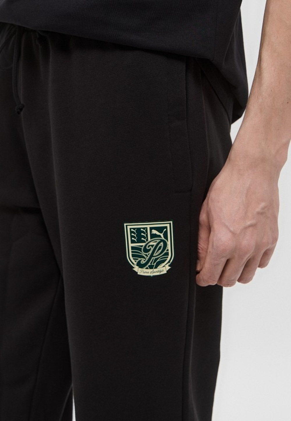 Брюки спортивные мужские PUMA SPORTS LEGACY Graphic Sweatpants TR cl