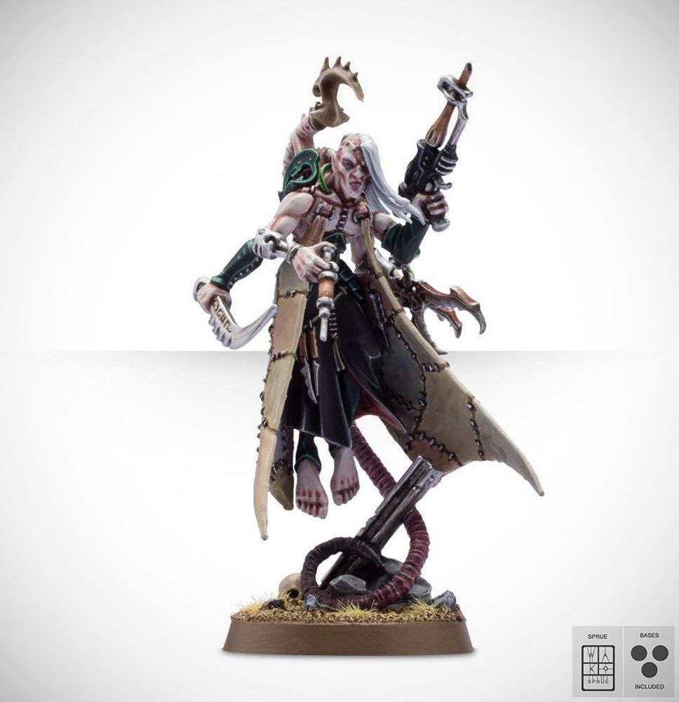 Haemonculus