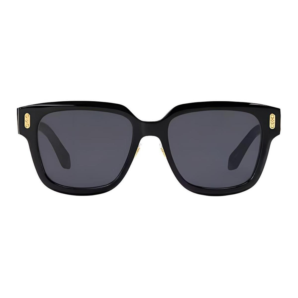 Очки LOUIS VUITTON, Z2063U