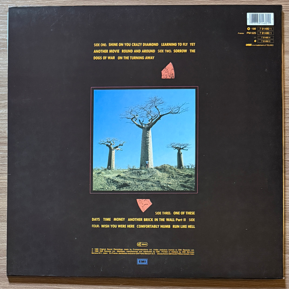 Pink Floyd - Delicate Sound Of Thunder 2LP (Европа 1988г.)