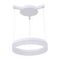 Подвесной светодиодный светильник Arte Lamp A2502SP-1WH