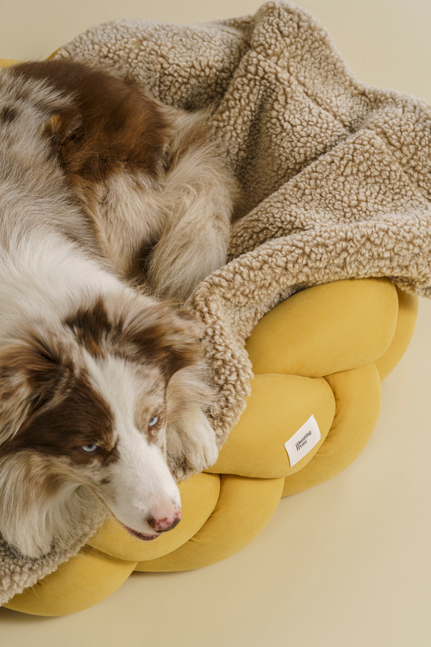 Плед "Пони-сони" Бежевый