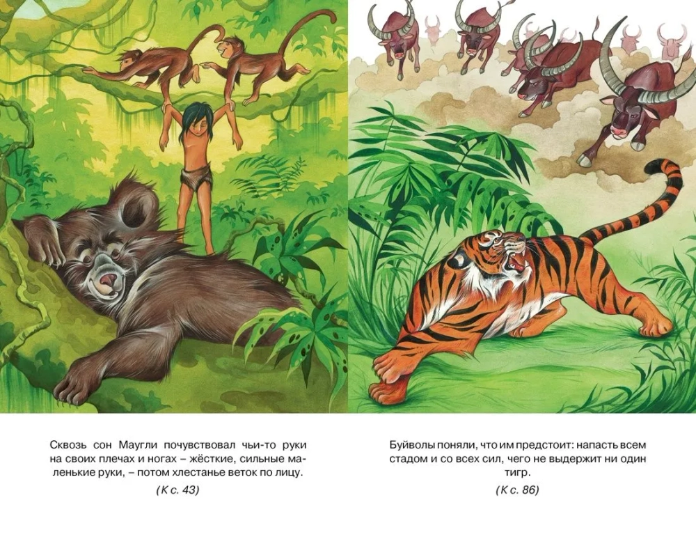 Маугли, Киплинг Редьярд Джозеф