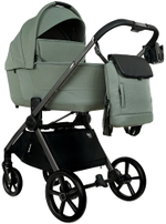 Детская коляска Pituso Teffy 4 в 1 с автокреслом Baesa Black с базой Sage Green/Graphite