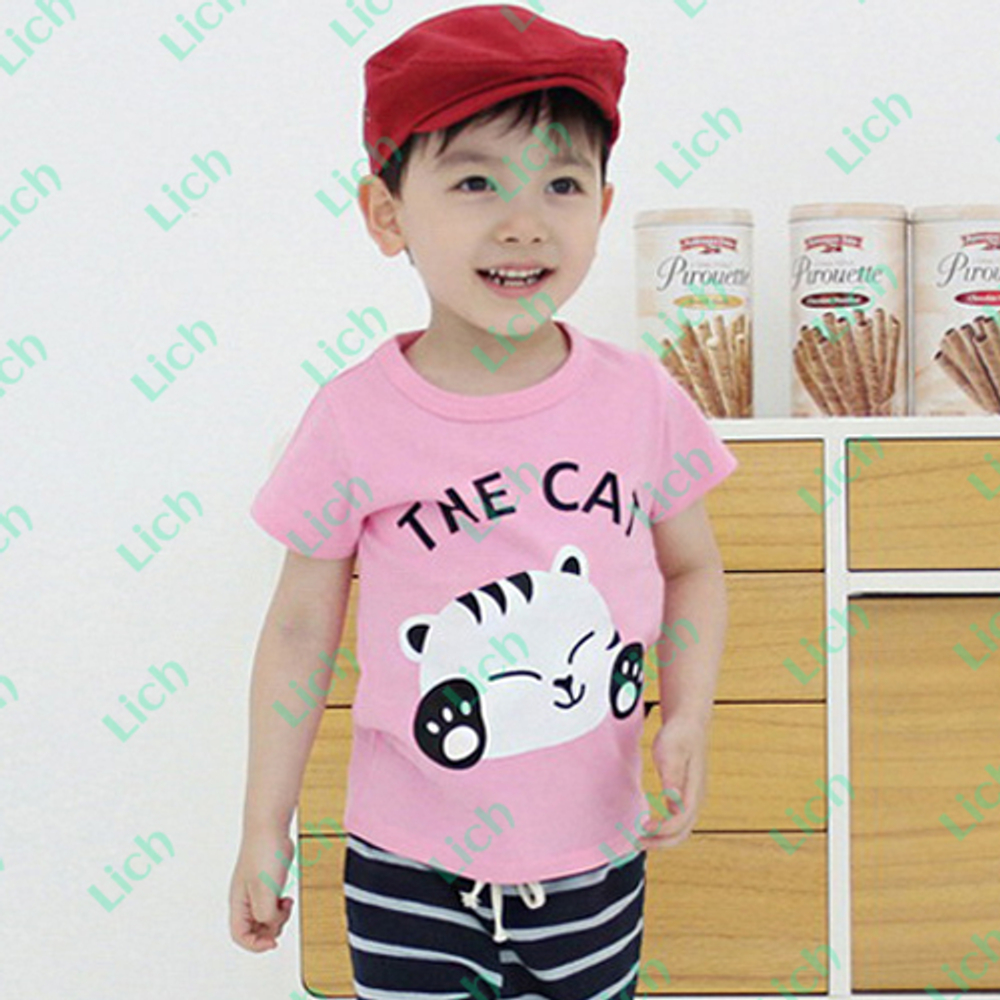 Футболка однотонная с принтом кошки и надписью  THE CAT