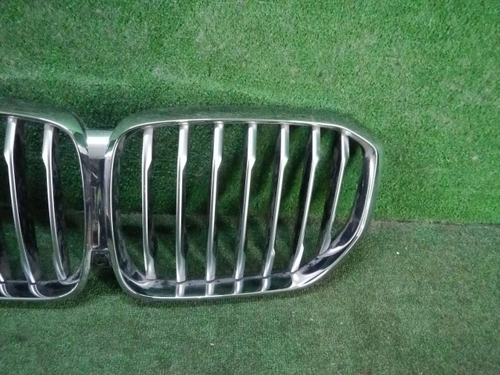 Решетка радиатора BMW X5 G05 (2018-2023)