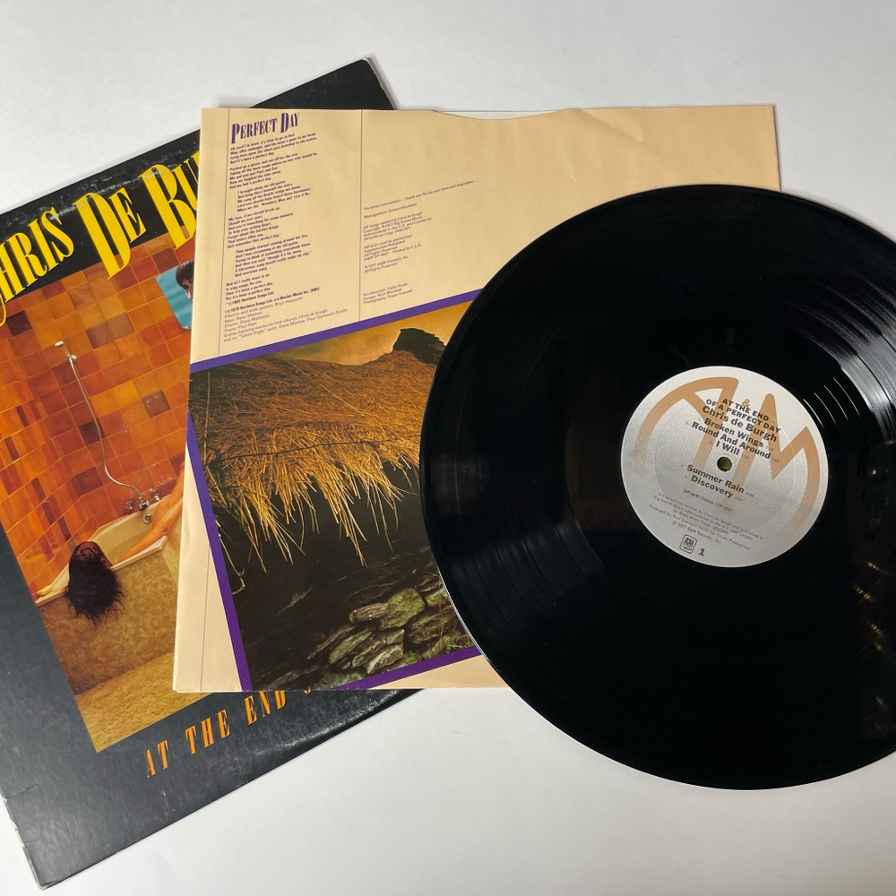 Винтажная виниловая пластинка LP Chris de Burgh At The End Of A Perfect Day (Canada 1977)
