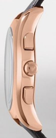 Наручные часы Armani AR1701