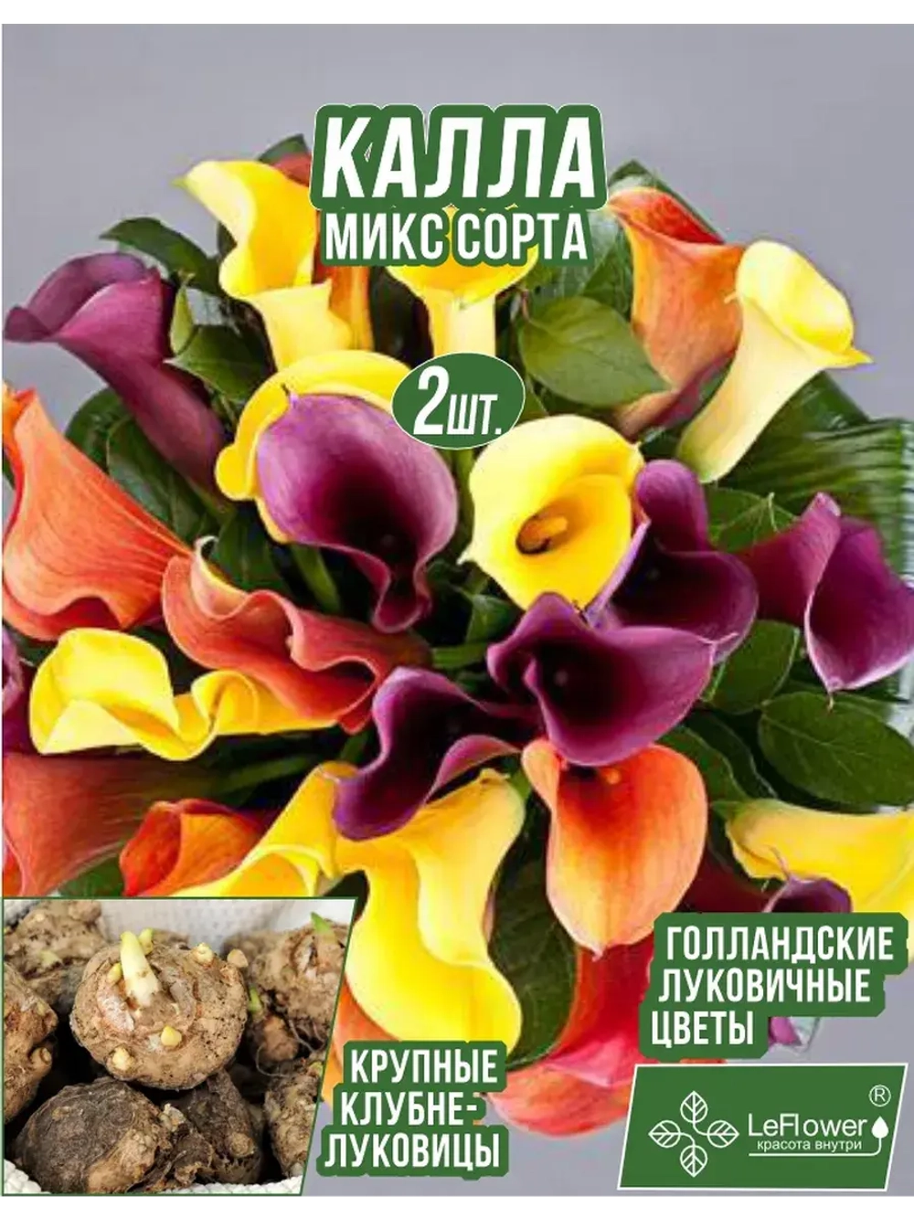 Луковичный цветок калла, 2 шт. Голландия