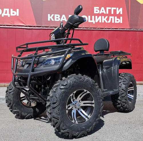 Квадроцикл PROMAX TRX300 CVT