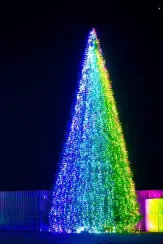 Комплект освещения Хамелеон RGB для елей высотой 4 м., 4 шт.*12 м., Green Trees (Ham4)