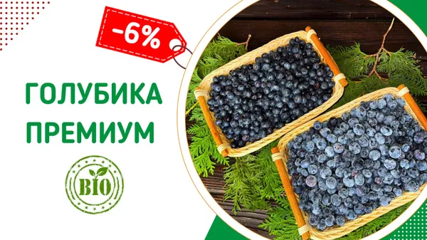 Слайдер Блок 91