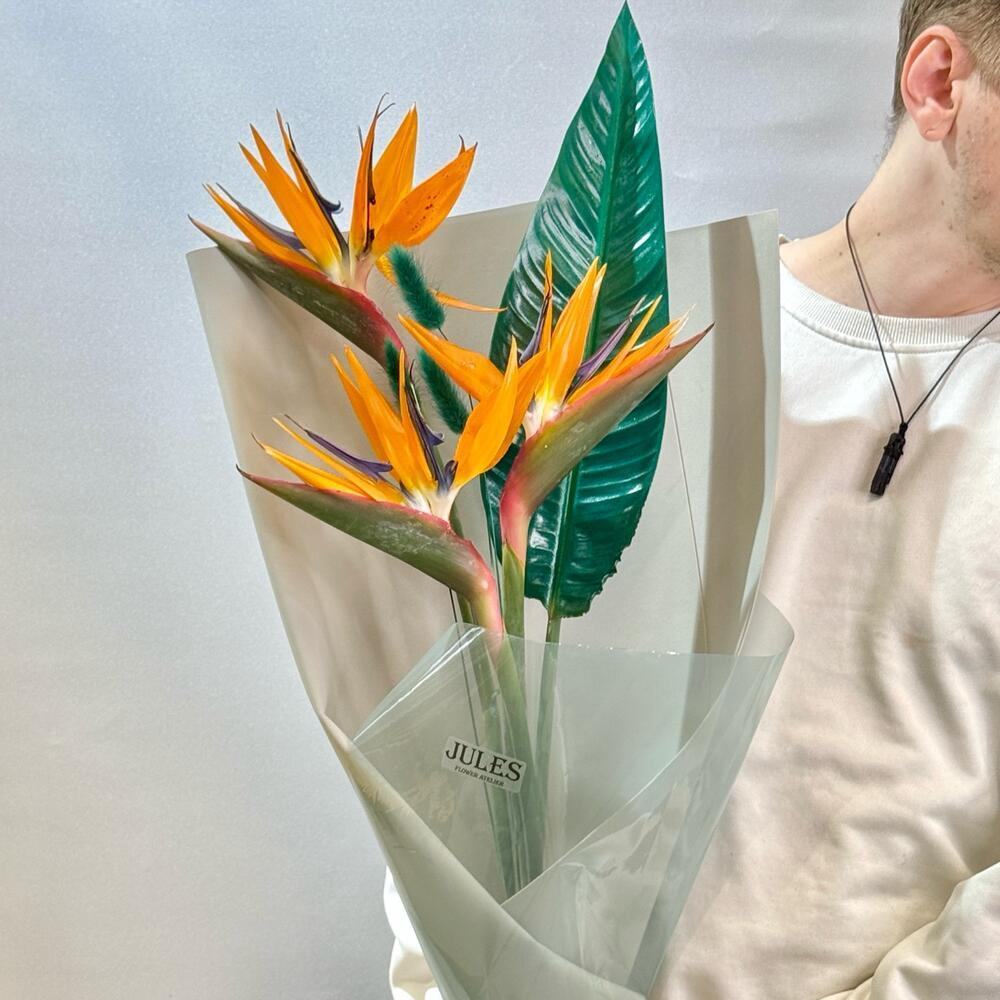 Птица, которая решила остаться. Букет со стрелицией