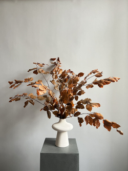 Бук стабилизированный оранжевый