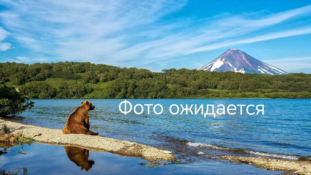 Infinix Note 30i (X6716) (BL-49OX) Аккумулятор (батарея) (ORIG)