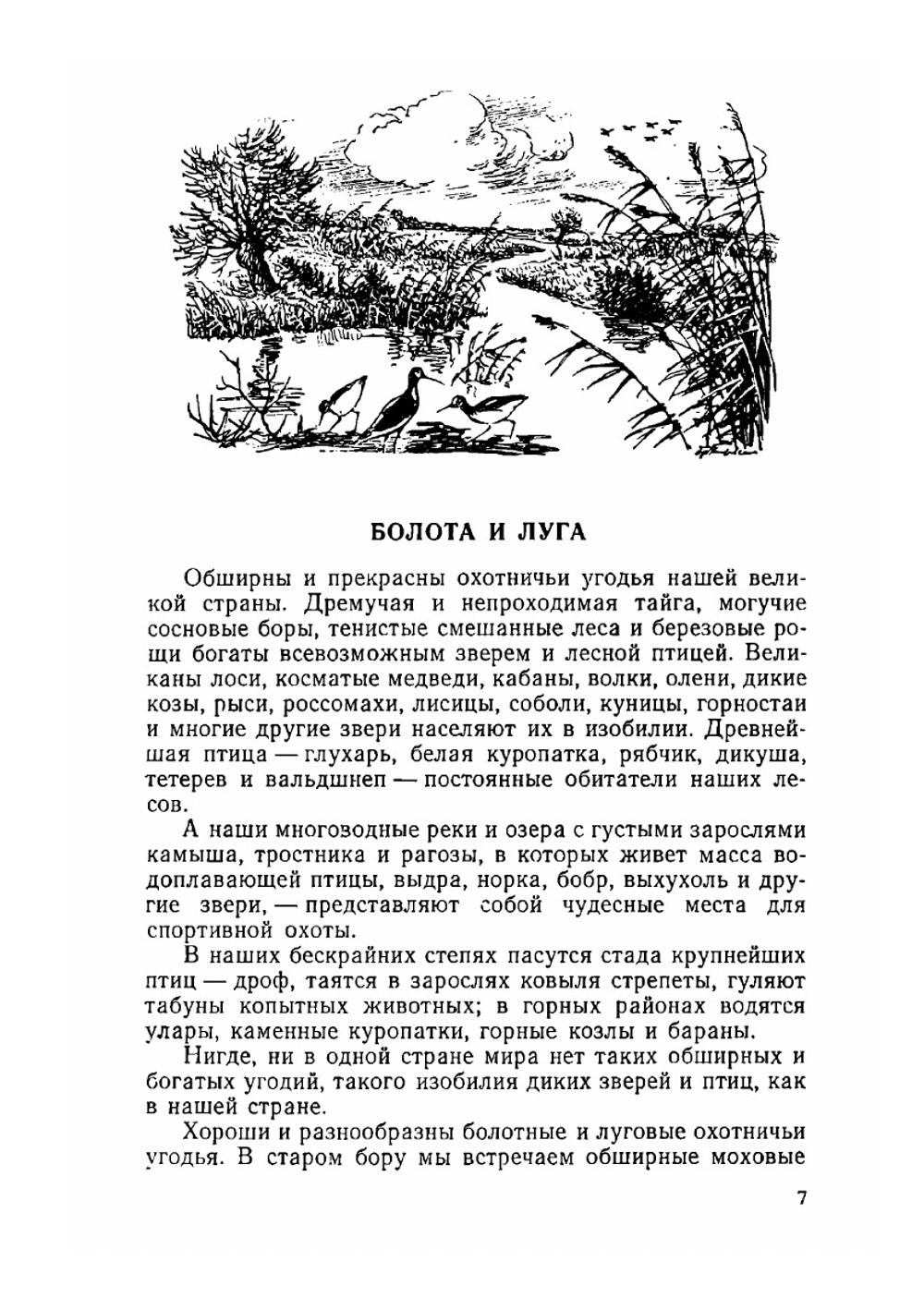 Охота на болотную и луговую дичь | В. Е. Герман