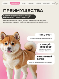 Корм сухой для щенков породы Акита-ину, с говядиной, 12 кг, QUATTRO
