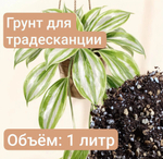 Грунт для Традесканции, 1 литр для Традисканции 1 литр универсальный