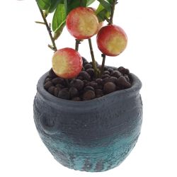 GAEM Дерево искусственное "Яблоня", L11 W17 H36 см