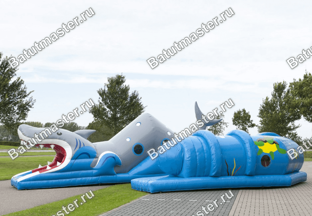 Коммерческий надувной батут "Тоннель акула"