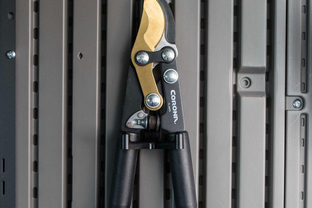 Сарай пластиковый WoodLook 8*10