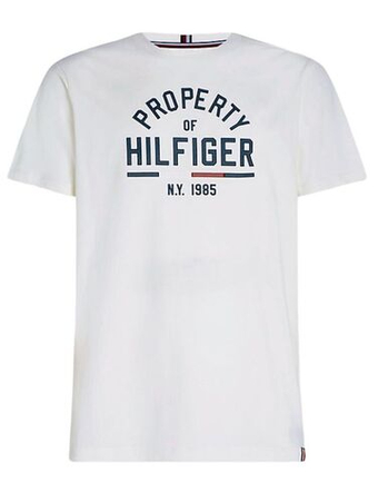 Мужская теннисная футболка Tommy Hilfiger Graphic SS Tee - белый