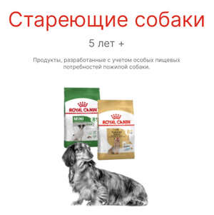 Собаки 5+