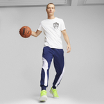 Мужские брюки PUMA BLUEPRINT Formstrip Pant