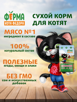 Сухой корм Ферма кота Федора для котят от 1 месяца, беременных и кормящих кошек с индейкой 650 г