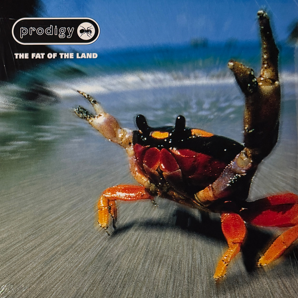 Виниловая пластинка Prodigy – The Fat Of The Land 2LP