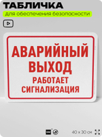 Табличка для обеспечения безопасности "Аварийный выход, сработает сигнализация", для офиса, по охране труда для предприятия, организаций, 40х30 см, Silver Plane x Айдентика Технолоджи