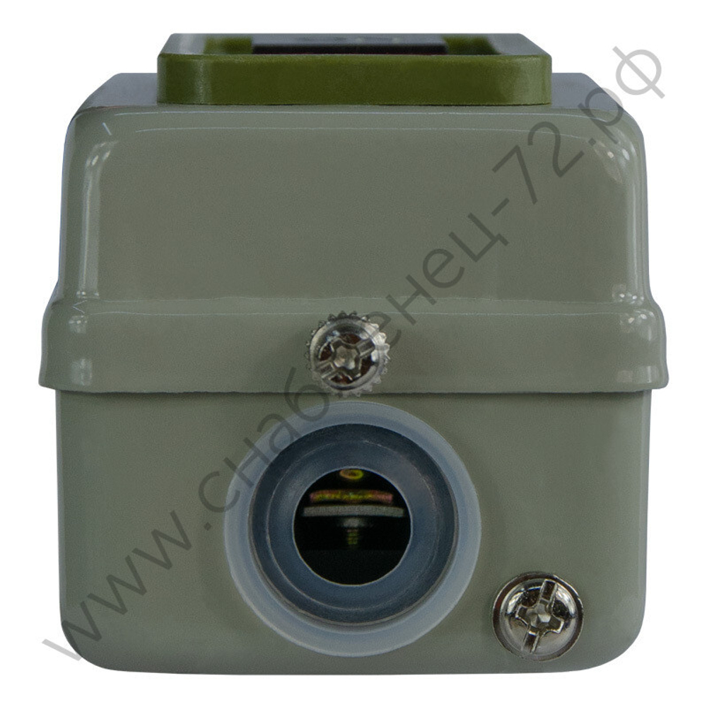 Посты кнопочные Энергия BS