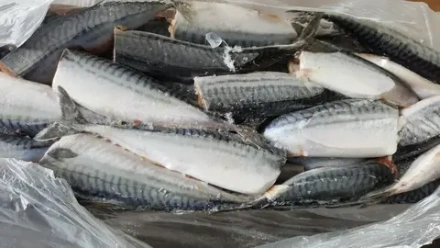 Скумбрия с/м б/г 325+ Фарер.Острова (август 2024) 1/27кг