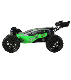 Радиоуправляемая багги Remo Hobby Dingo V2.0 (зеленая) 4WD 2.4G 1/16 RTR