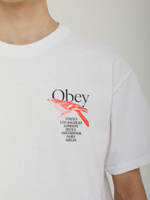 Мужская Футболка Obey Bird