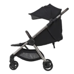 Коляска 2 в 1 Anex IQ Premium