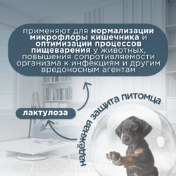 Пребиотик для нормализации микрофлоры кишечника у кошек, собак и хорьков АВЗ Ветелакт раствор для приема внутрь, 20мл