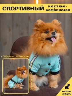 Спортивный комбинезон костюм для собак
