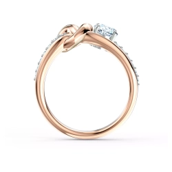 LIFELONG HRT:RING CZWH/MIX 52 5535406